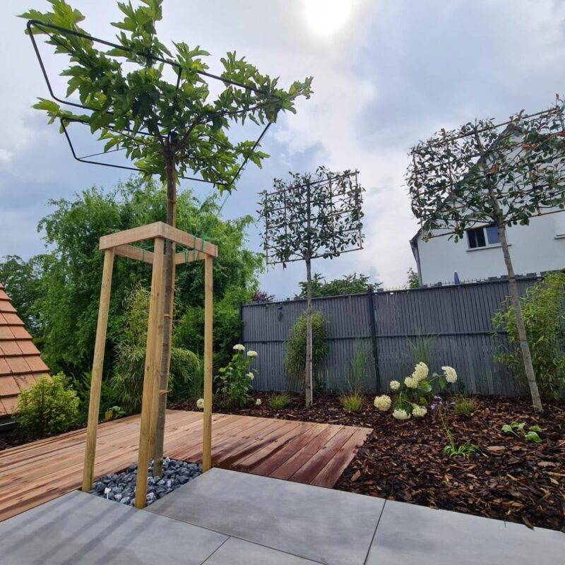 Terrasse cosy composée d&#8217;un dallage en grès cérame et d&#8217;un planché en IPE Mulhouse 0